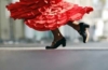 Flamenco @iStockphoto/Rami Katzav