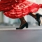 Flamenco @iStockphoto/Rami Katzav